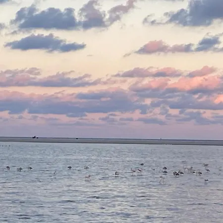 Gæstehus Zinnibiri