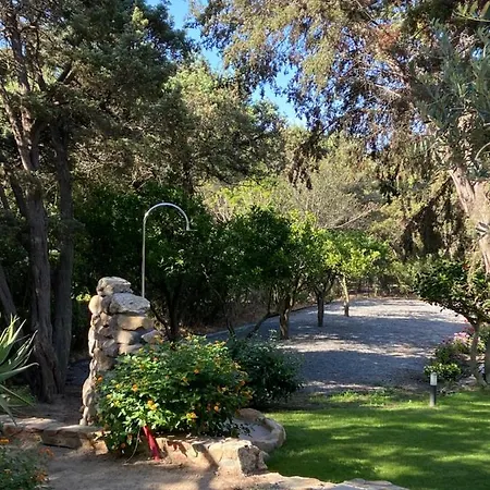 Zinnibiri Guest house